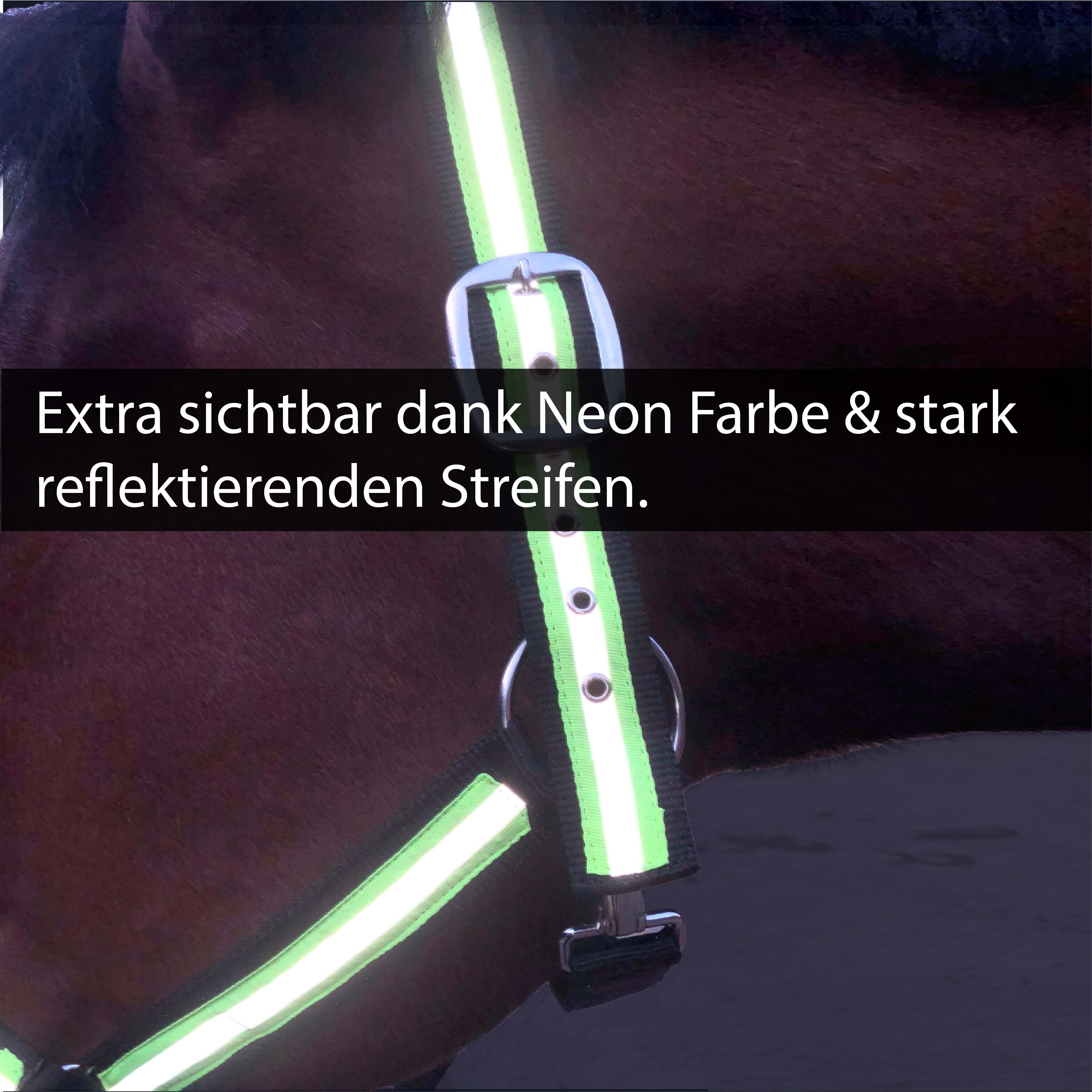 Reflexhalfter Kaltblut für Sichtbarkeit & Sicherheit